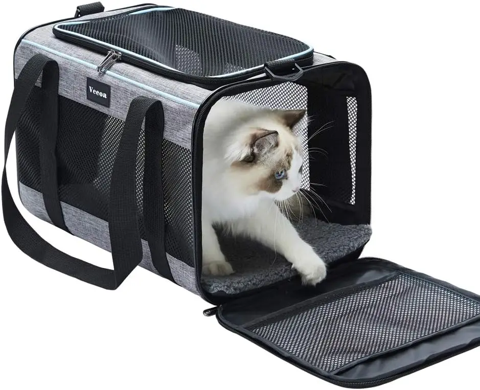 cat carrier