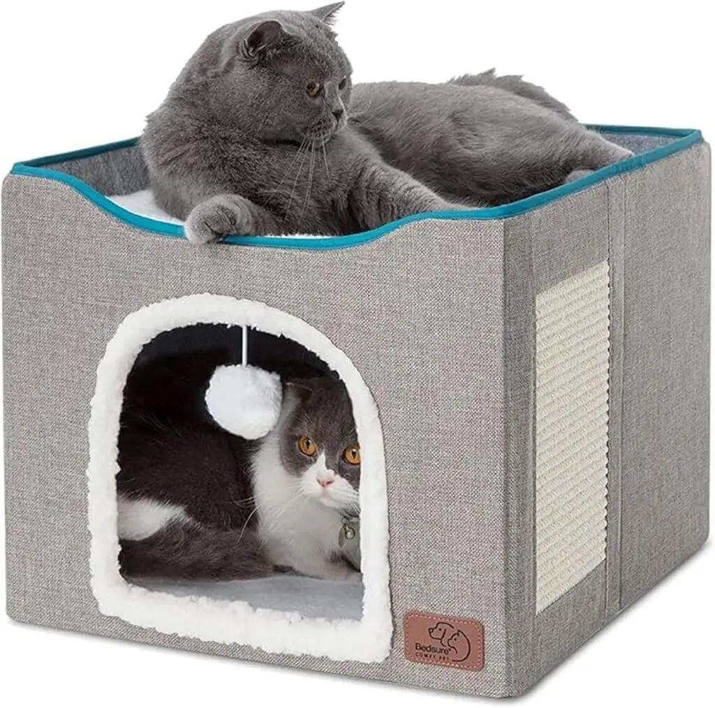 cat cave