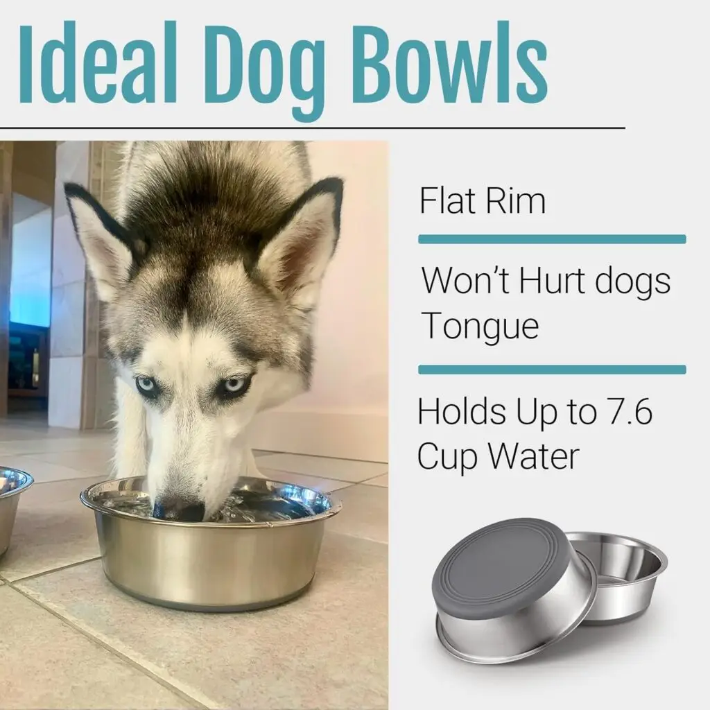 dog bowl